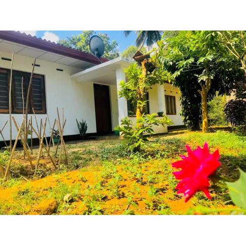 Streamside Sanctuary - Home Stay