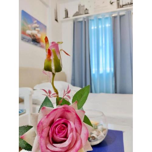 Studio Marine Theme by Emman & Jovy Staycation