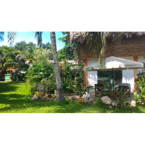 Studio surrounded by nature