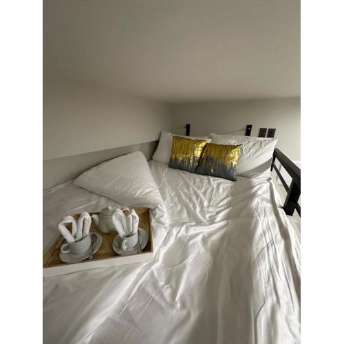 Studio unit loft bed st dominique