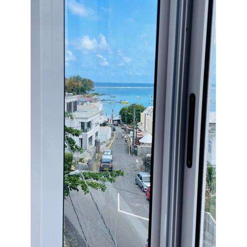 Stunning beachfront apartment, Seaview, 20 metres from beach