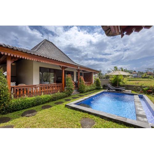stunning rice field view - private pool villa