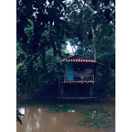 สวนบ้านนอก SuanBaanNoak