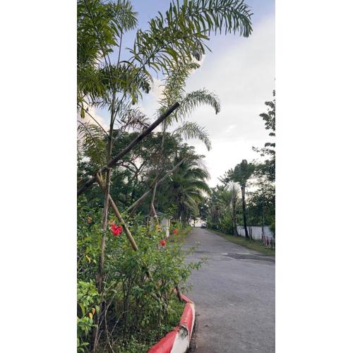 Successive Resort ,Krabi