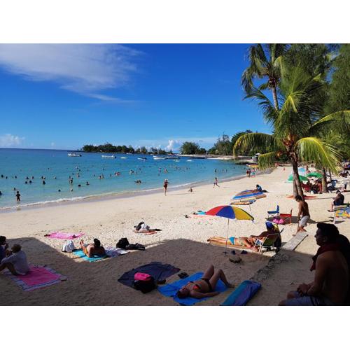 Sugar Reef Apartment