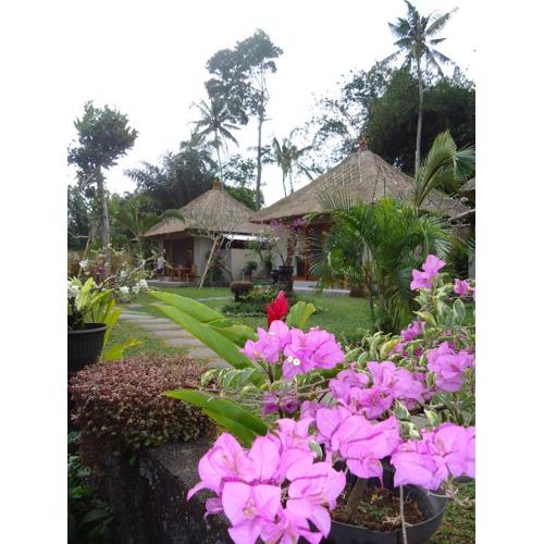 Suka's House Bed & Breakfast