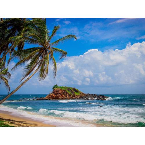 Sun Bird Eco Guest Mirissa