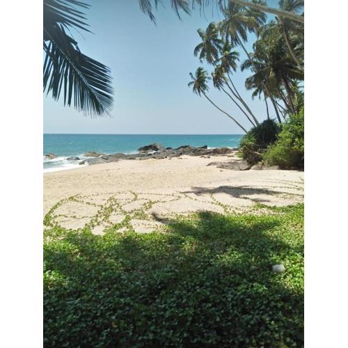 Sun & Sea 365 Balapitiya