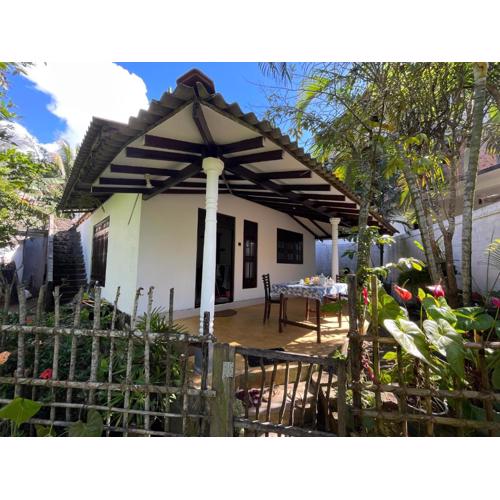 Sun & Tree HomeStay (With Green Nature View)