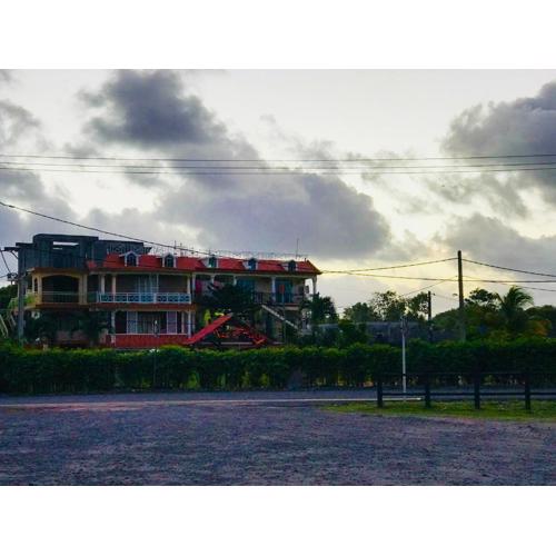 Sun Tropical Paradise