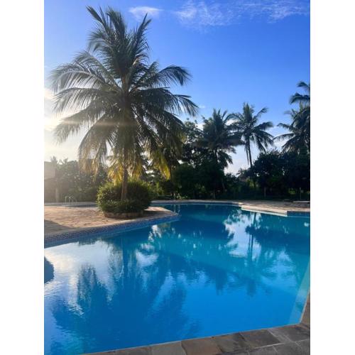 Sunny Studio Beachfront Apartment