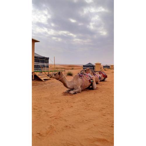 Sunrise Desert Local Private Camp