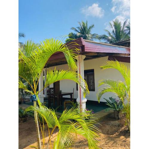 Sunset view Homestay Sigiriya
