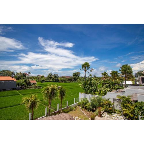 Sunterra - Brand new villa - Ricefield View, Canggu - Rooftop
