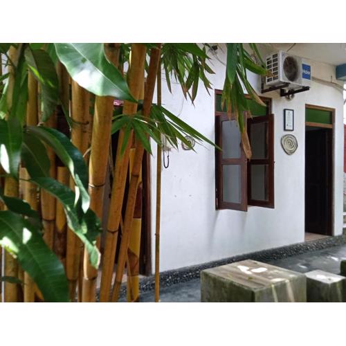 Surf and stay surf camp & school