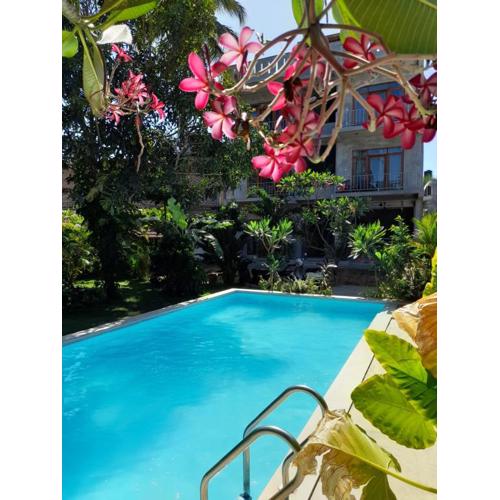 Surf Gangs Arugambay