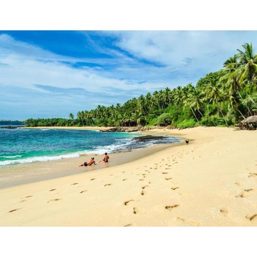 Surface Stay and Diving