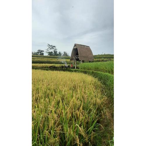 Swaha Retreat & Eco Park Ubud