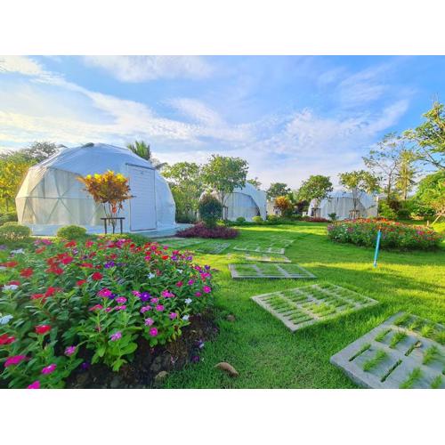 ปีกุนรีสอร์ท & Swimming pool (Pigoon Resort)