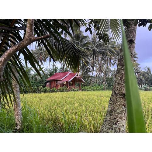 Syaqila Homestay Lombok