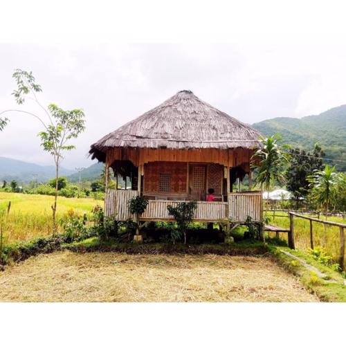 Tado Homestay