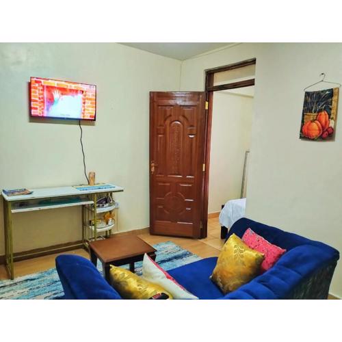 Tamara studio bedsitter, Nyanchwa Kisii
