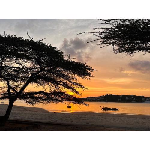Tanga Nyusi Beachfront Bungalow Manda Island Lamu