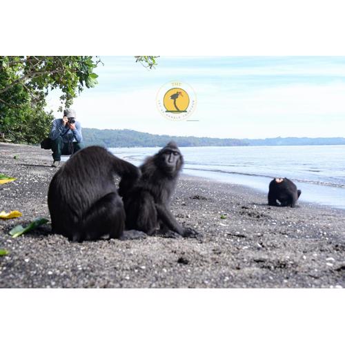 Tangkoko Backpacker Home stay