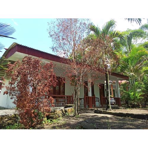 Tangkoko Jungle Homestay