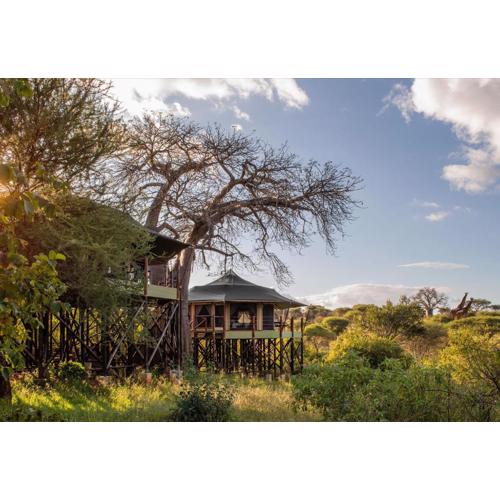 TARANGIRE KURO TREETOP LODGE
