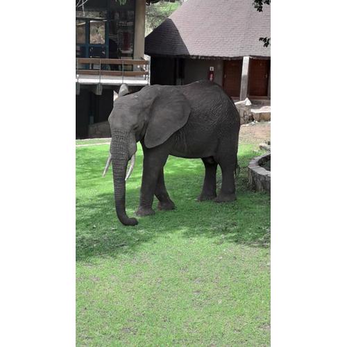 Tarangire Sopa Lodge