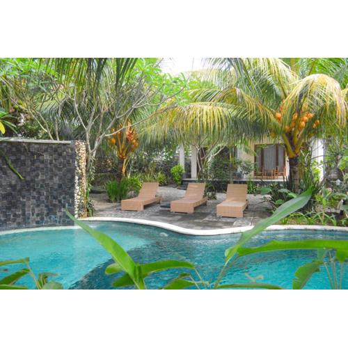 Tarzan Marriott On Penida