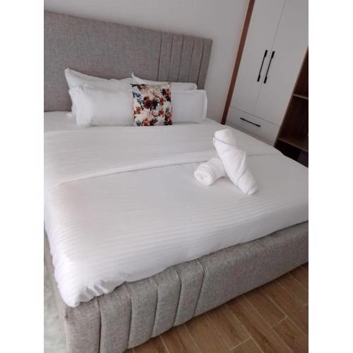 Tastefully Furnished One bedroom Apartment in Smarthomes Kilimani