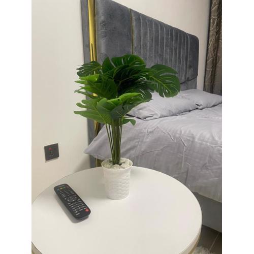 Taurus residences B2-9 near JKIA , SGR and expressway transit stay