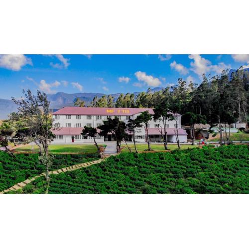 Tea and Experience Factory - Thema Collection