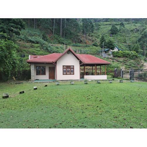 Tea Flower Adventure