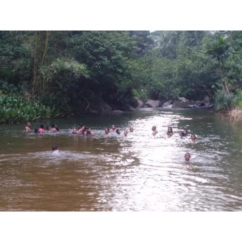 Tea Mount view Villa