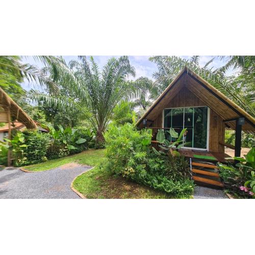 Tee Bungalow in the jungle