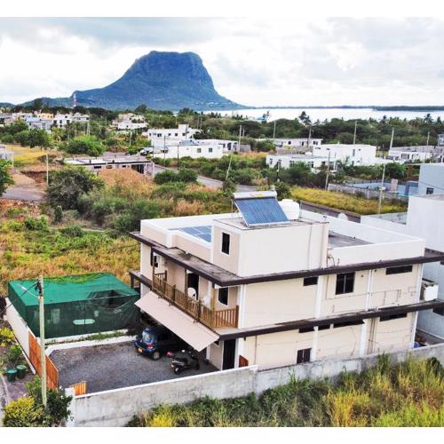 Tenexia - Mountain View