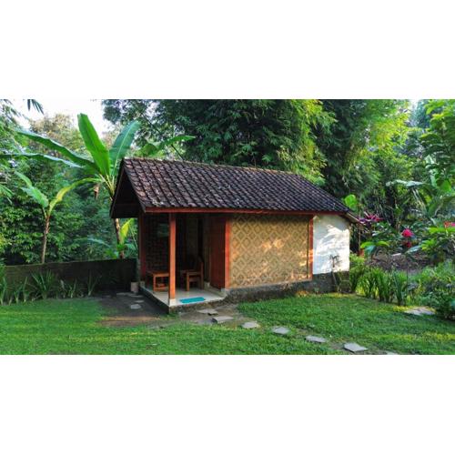 Tereng Wilis Jungle Inn