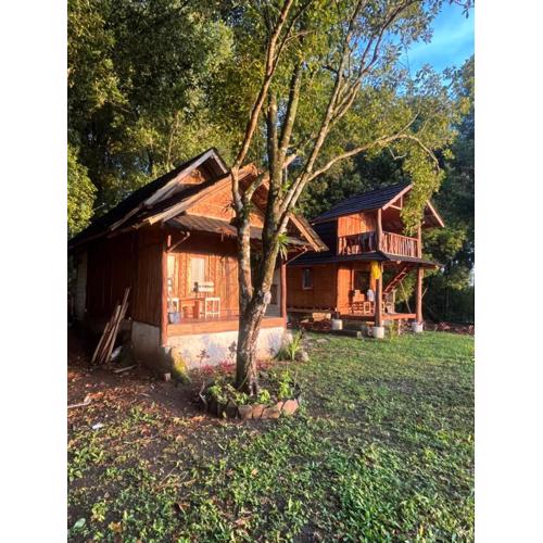 Tetebatu Jungle Vibes