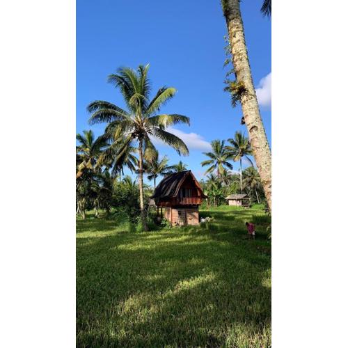 Tetebatu Rice field bliss