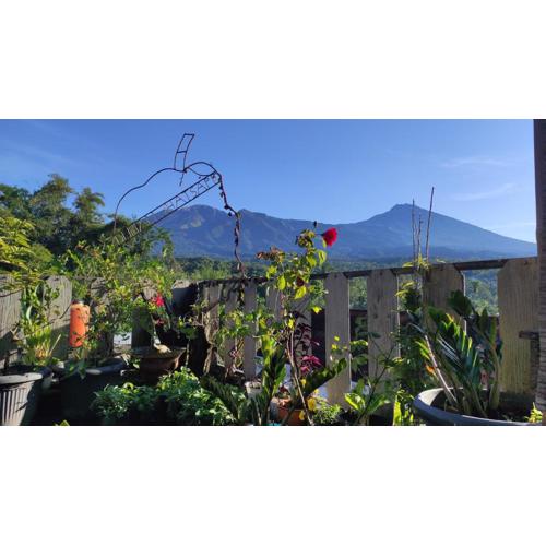 Tetebatu Terrace Homestay