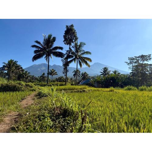 Tetebatu Valley Bungalows