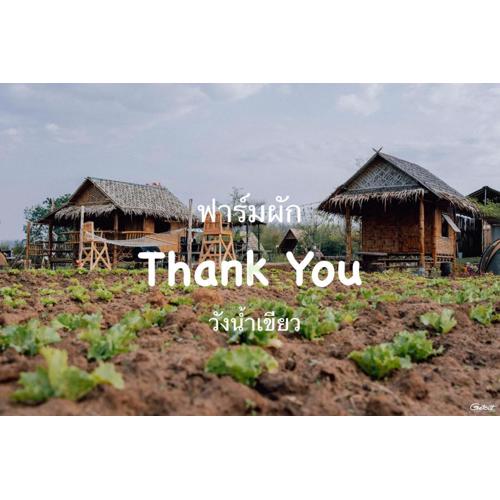 ฟาร์มผัก Thank you