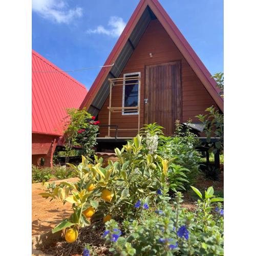 Thanya local campsite Thailand