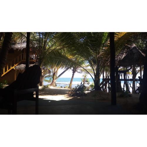 The Alpha Monkey hotel & Tree house