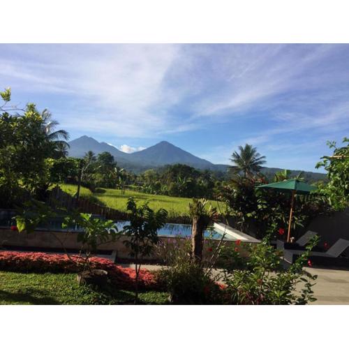 The Aroma Villa Munduk