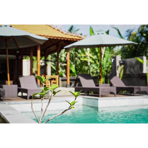 The Banana’s Kumbe Villa