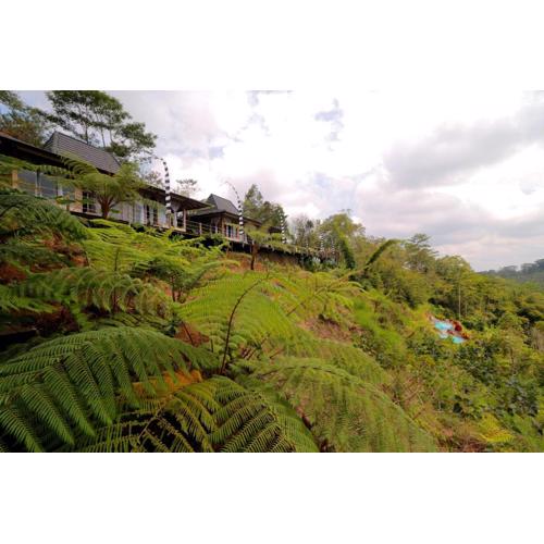 The Bejalin Eco Retreat